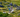 Rewarding Feats: A 350-Kilometer Cycling Race in the Swiss Alps