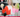15.0 Questions: Natasha Fischer AKA Trader Joe’s List