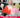 15.0 Questions: Natasha Fischer AKA Trader Joe’s List