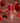 cherry hibiscus (sparkling mocktail | 12 pack)