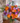 Cheers To You Flower Bouquet