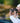 Fenix E-SPARK - Discontinued