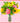 I Lily You