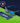 Seattle Seahawks Torrey Pines Sport