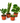 Plant Gift Bundle