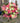 The 365 Flower Bouquet With Vase