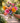 Wish Big Flower Bouquet