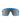 Detroit Lions Campeones