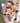Fresh Start Flower Bouquet