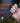 Fenix E20 V2.0 EDC Flashlight - 350 Lumens