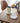 Coasters (Set of 6) - Two Styles - Silicone